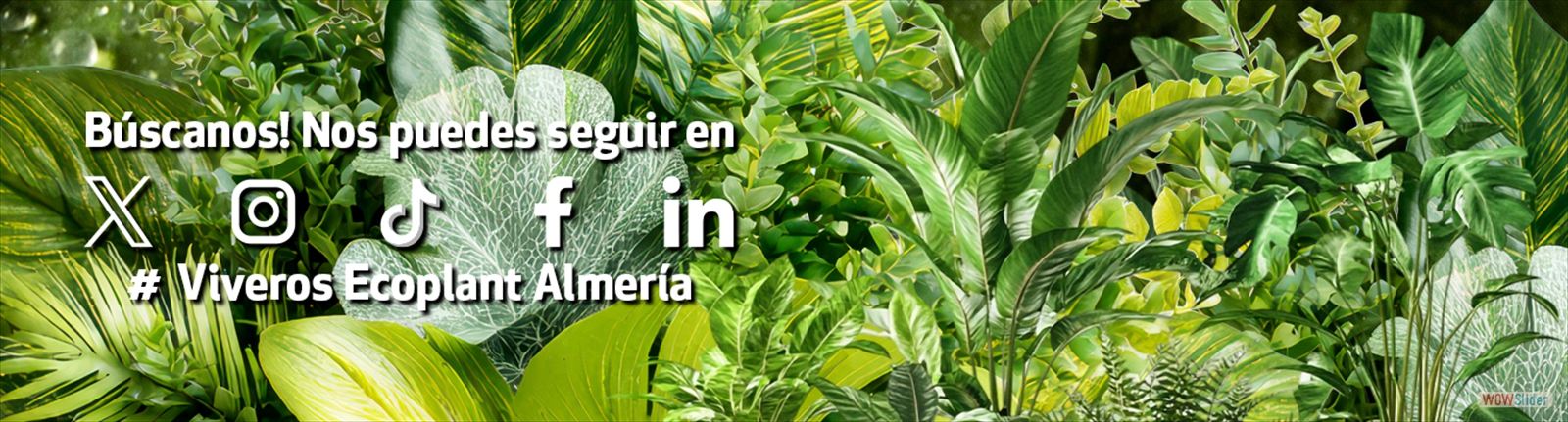 CabeceraRedes