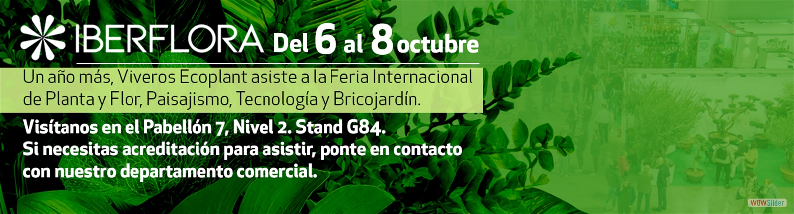Iberflora
