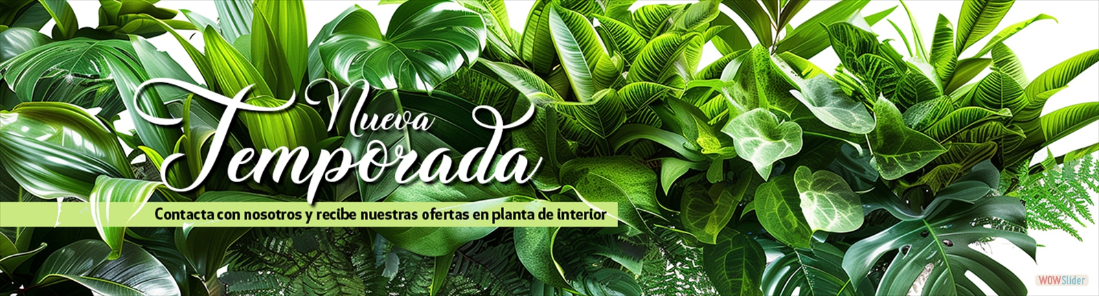Temporada26-1