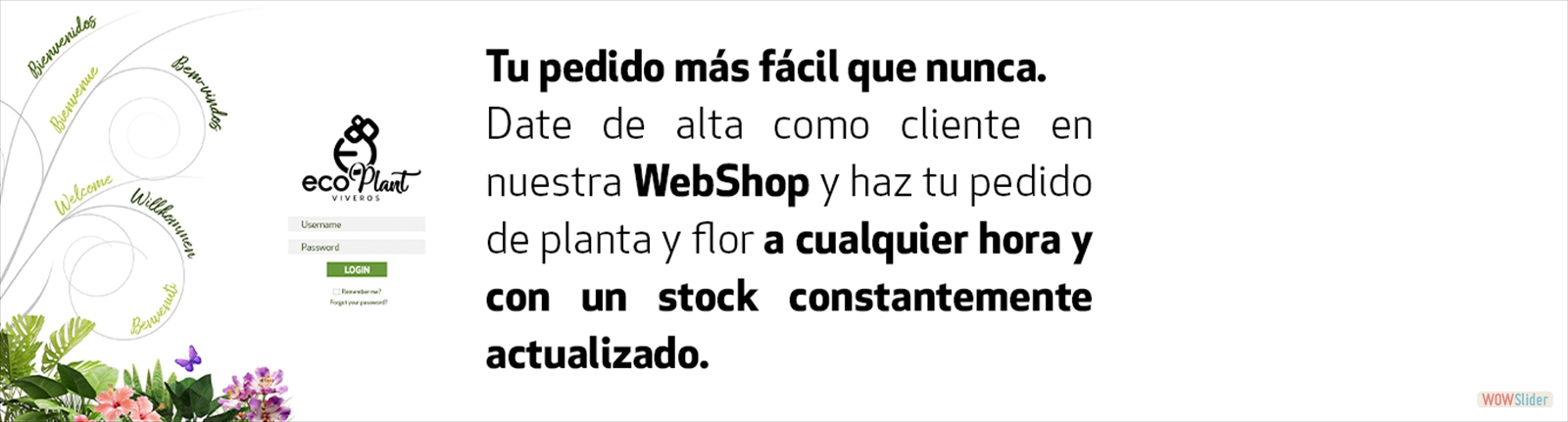 webshop1